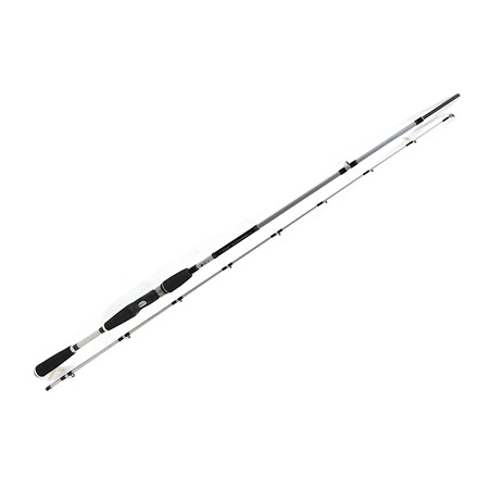 Canne Baitcasting Exceler Procast - Ensemble Baitcasting Exceler Procast