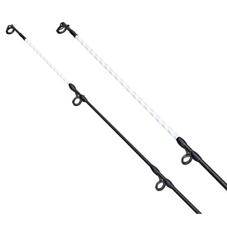 CANNE BARBEAU DAIWA 27 TWILIGHT SPECIMEN