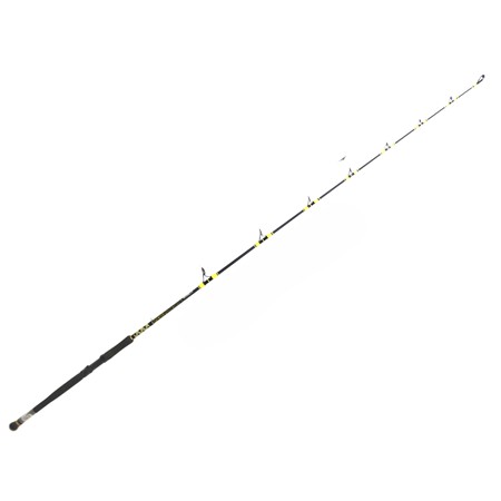 Canne Black Cat Passion Pro Dx Vertical - 1.80M