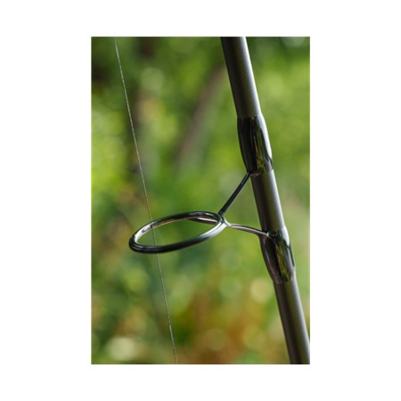CANNE CARPE AVID CARP ASCENT RODS