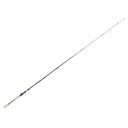 Canne Casting Abu Garcia Beast Pro Casting Rod - 195Cm - 50-120G