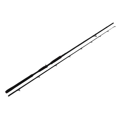 Canne Casting Abu Garcia Beast Casting Rod - 259Cm / 50-200G
