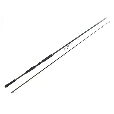Canne Casting Abu Garcia Beast X2 - 249Cm / 100-280G - Extreme