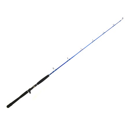 Canne Casting Alutecnos Blue Jigging Rod - 170Cm - 250/500G