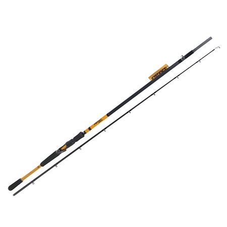 Canne Casting Bft Instinct - Bft.Ci86