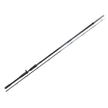 Canne Casting Bft Lizzard X - 262Cm / 200G