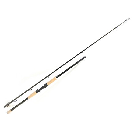 Canne Casting Bft Roots G2 Jerkbaits Heavy 6'9” - 190G - 6'9'' - 190G