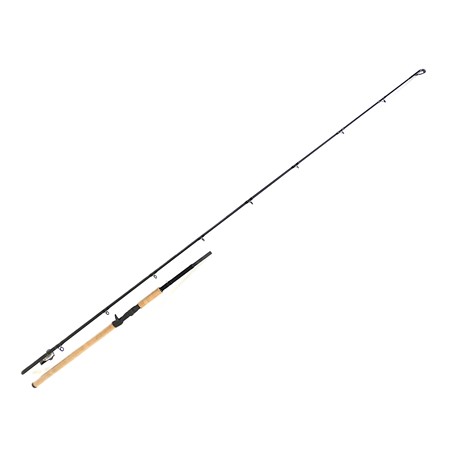 Canne Casting Bft Rugen - Bft.Crug86