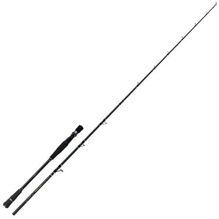 Canne Casting Colmic Strike Casting