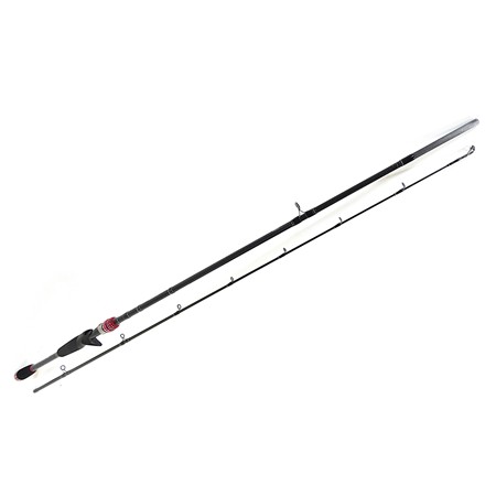 Canne Casting Daiwa Exceler - Déstockage - Ex662mfbbf