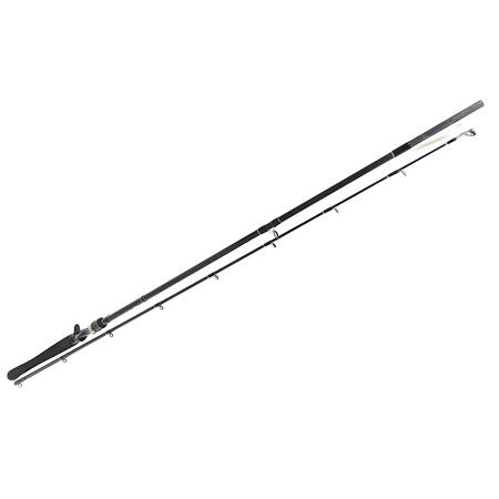 Canne Casting Daiwa Exceler Casting - Ex742hxhfbef - 2025