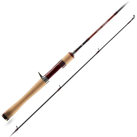 Canne Casting Favorite Arena Stream