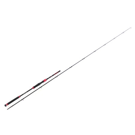Canne Casting Hearty Rise Trophy Pike Big Bait - 250Cm - 100-200G