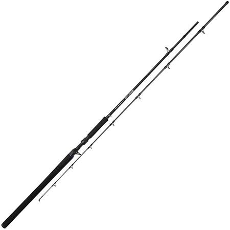 Canne Casting Mikado Bixlite Pike Master