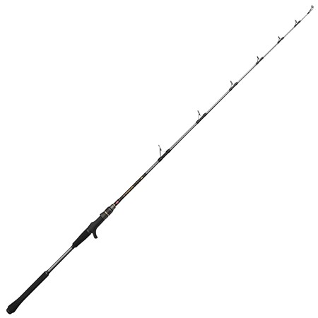Canne Casting Penn Regiment Iv Jigging