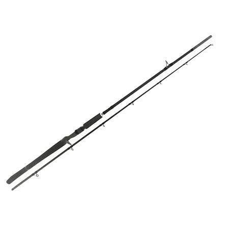 Canne Casting Spro Sp1 Pro Cast - 210Cm / 40-100G