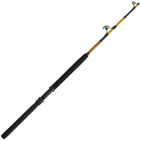 Canne Casting Ugly Stik Bigwater Stand Up Conventional Rod