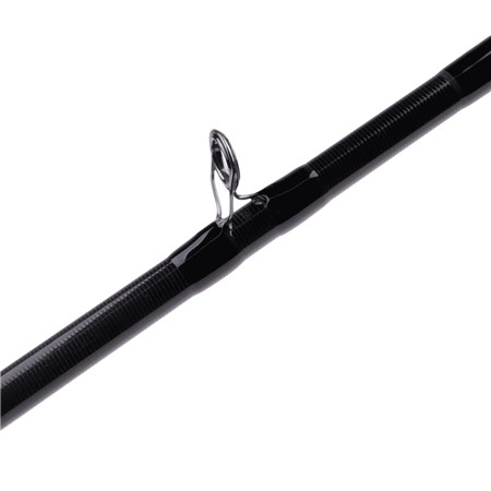 CANNE CASTING ZECK BIG BAIT CAST
