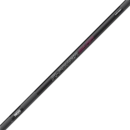 Canne Coup A Emmanchement Rive R-Power Carp