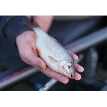 CANNE COUP AD INNESTO CRESTA CENTURION COMPETITITON PRO C550