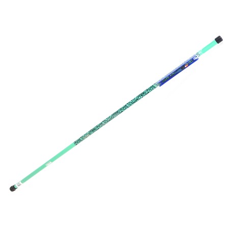 Canne Coup Télescopique Mitchell Catch Pro Ii Telepole - 3M