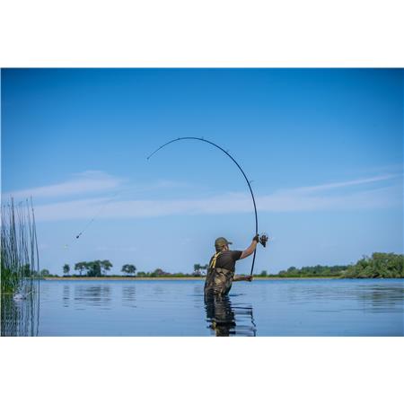 CANNE DA CARPA AVID CARP REVOLVE RODS