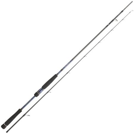 Canne Da Spinning Daiwa Labrax Seabass