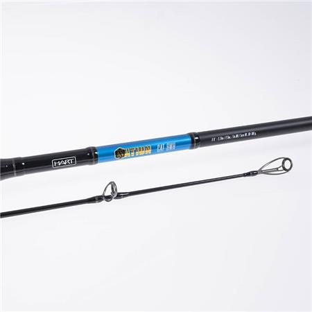 CANNE DA SPINNING HART NATION CAT