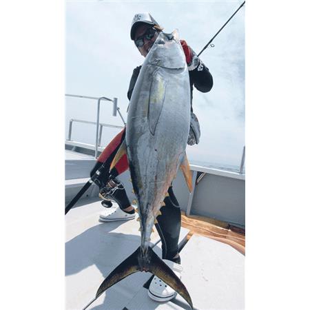 CANNE DA SPINNING TAILWALK KUROSHIO OC 80XH