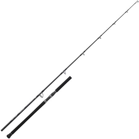 Canne Daiwa 26 Saltiga Dogfight