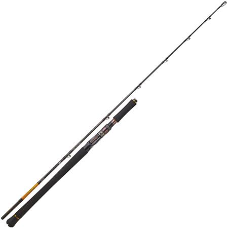 Canne Daiwa 27 Bg Jigging