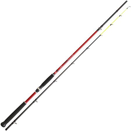Canne Daiwa 27 Ninja Bolentino