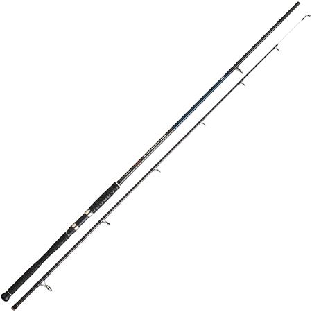 Canne Daiwa 27 Seahunter X