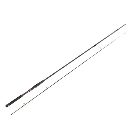 Canne Daiwa Morethan Branzino Ags - Mtbrags90hfsbf