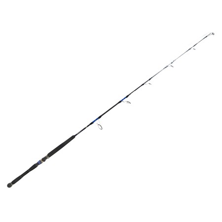 Canne Daiwa Saltiga Deep 55 - Sgjgd55bf