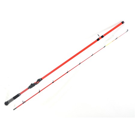 Canne Eging Daiwa Set Squid - Squid210bf