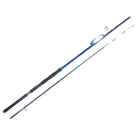 Canne Mer Aquantic Epoxy-Tip - 2.40M / 80-240G