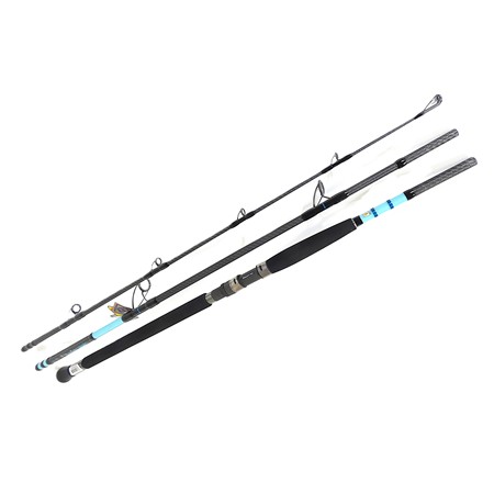 Canne Mer Hearty Rise Bassforce Exocast Gt - 2.70M - 100/200G