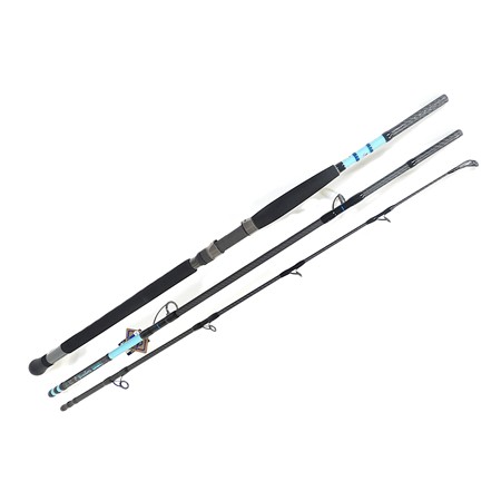 Canne Mer Hearty Rise Bassforce Exocast Gt - 2.70M - 100/200G