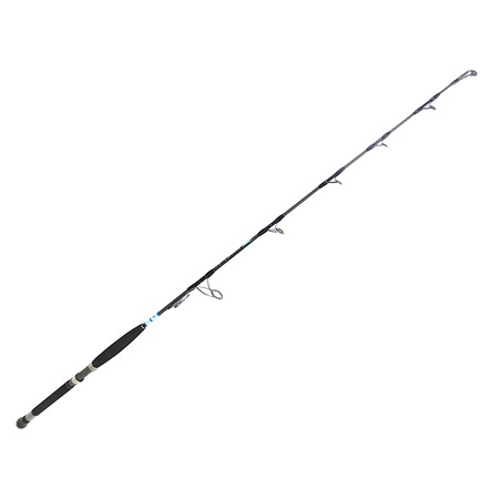 Canne Mer Hearty Rise Bassforce Exojigs Spinning - 1.60M - 100/300G