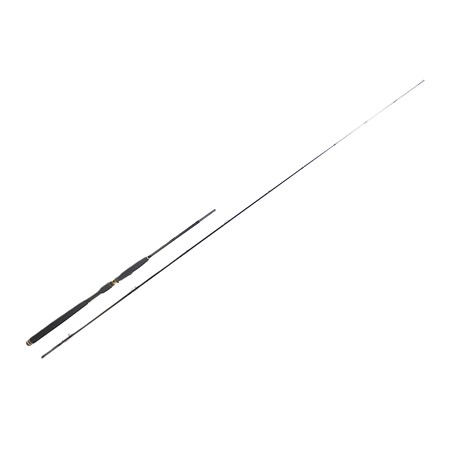 Canne Mer Lancer Daiwa Tournament - Tns802mhfsoh