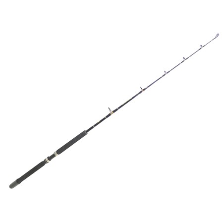 Canne Mer Penn Mariner Plus - 561 - 10-12Lbs