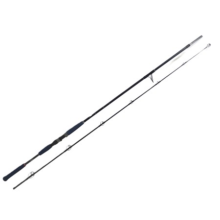 Canne Mer Smith Shore Jigger 60 - 28-60Gr Jig