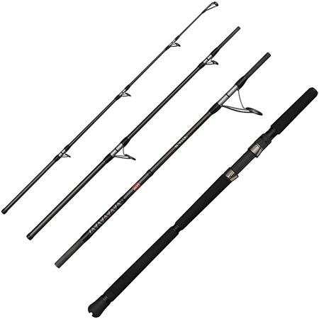 Canne Penn Ally Ii Offshore Casting Travel Rod