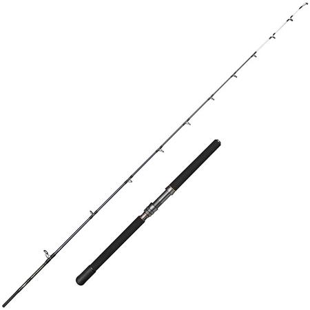 Canne Penn Battalion Solid Electric Straight Butt