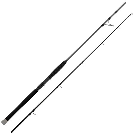 Canne Silure Black Cat Shadow Cat Spin