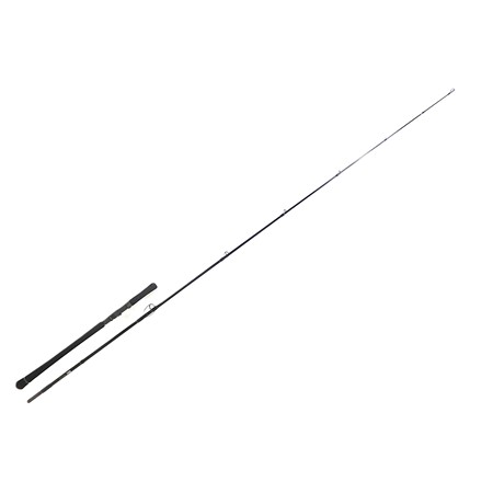 Canne Silure Zeck Evo Cat - 240Cm - 20-120G