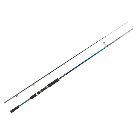 Canne Spinning Abu Garcia Beast X Spinning Rod - 254Cm - 30-110G