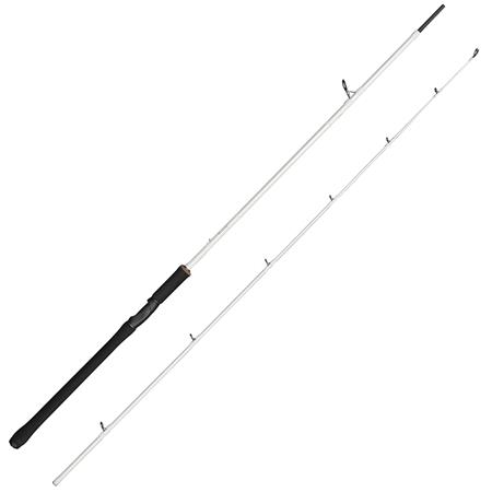 Canne Spinning Abu Garcia Beast X2 Trolling