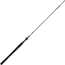 Einteilige angelruten bei kaufen Angelrute spinning daiwa steez ags